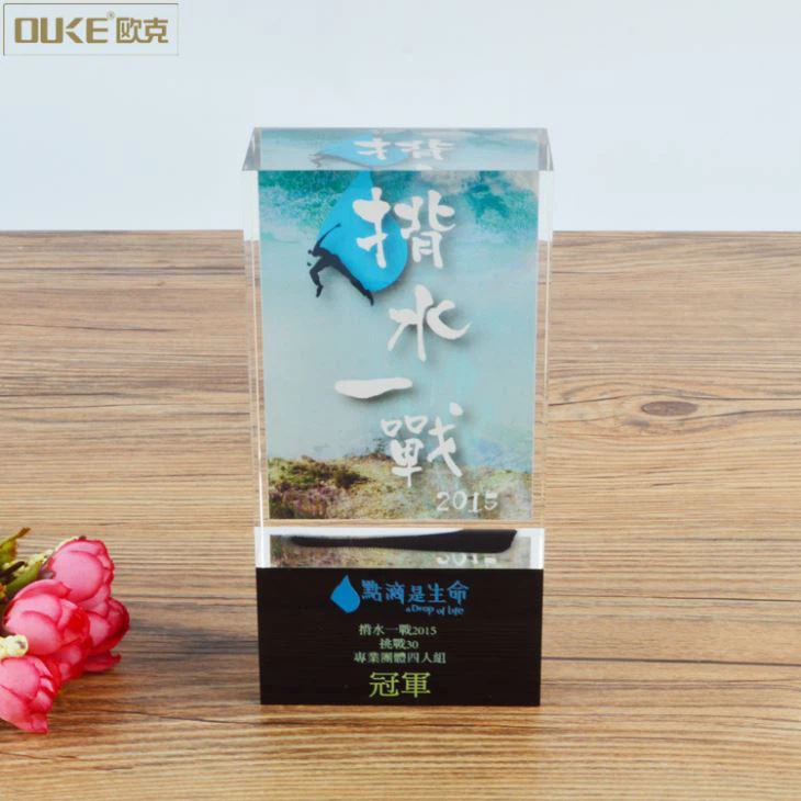 Custom Print Logo Acrylic Trophy Award