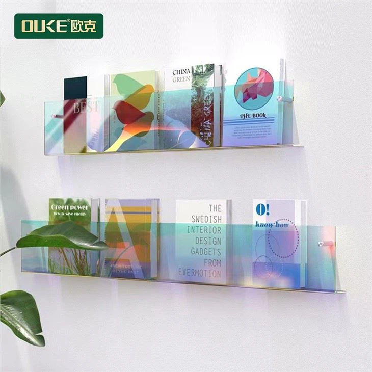 Wall Mounted Acrylic Book Shelf